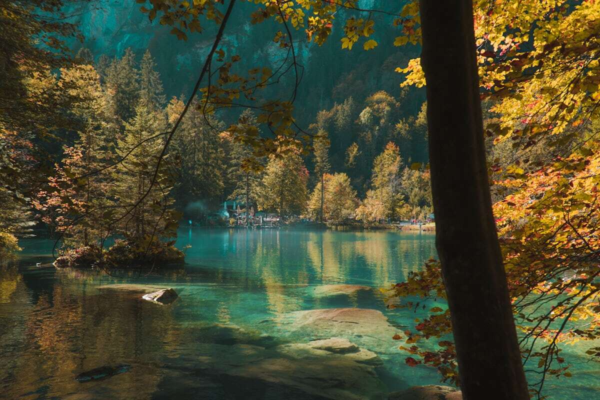The vivid blue, crystal-clear water of Blausee forest lake