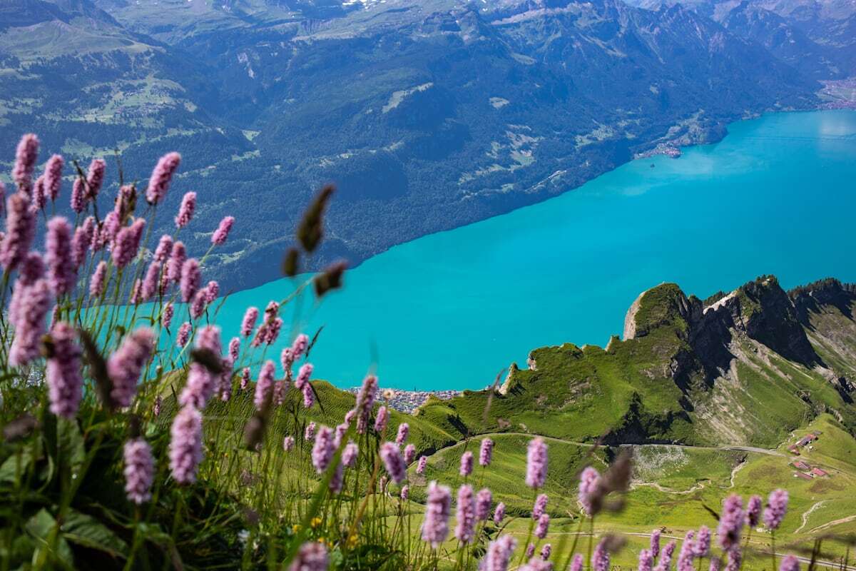 Chalets of Brienz village on the turquoise Lake Brienz
