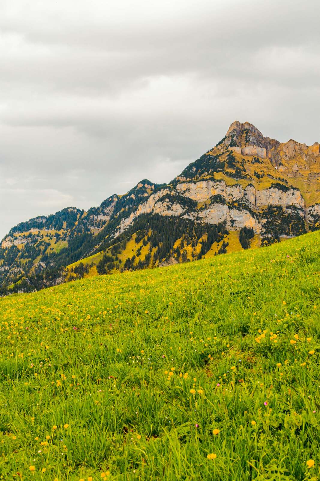 A green Swiss valley in summer, one of the best times to visit